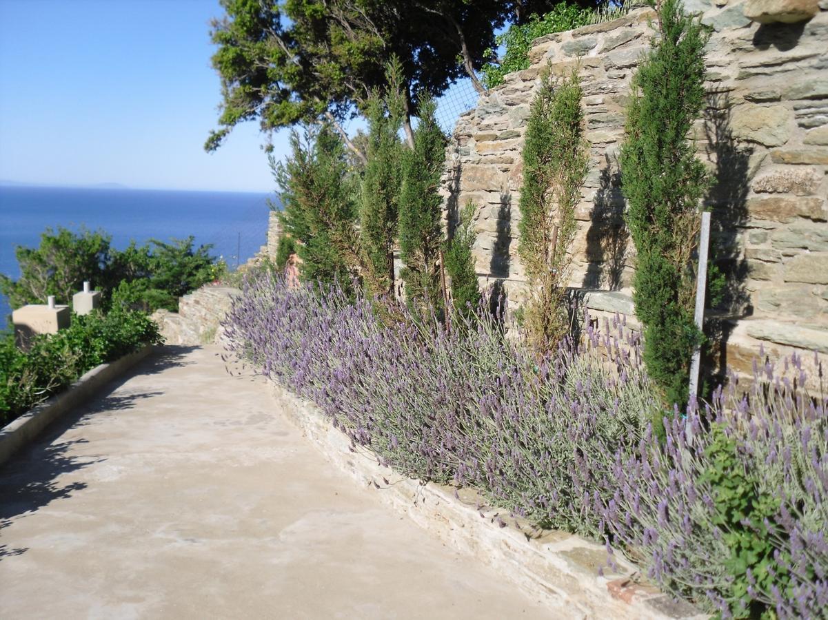 Aegean Castle Andros - Adults Only Aparthotel Agia Eleousa Exterior photo